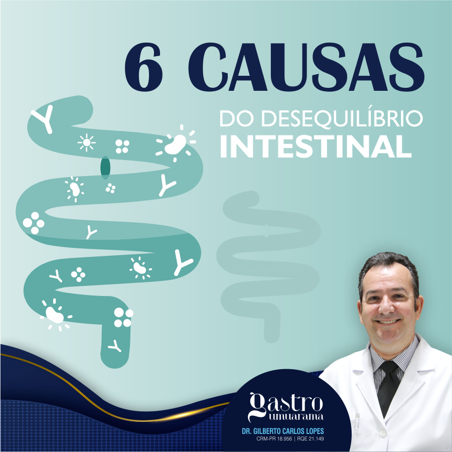 6 Causas do Desequilíbrio Intestinal