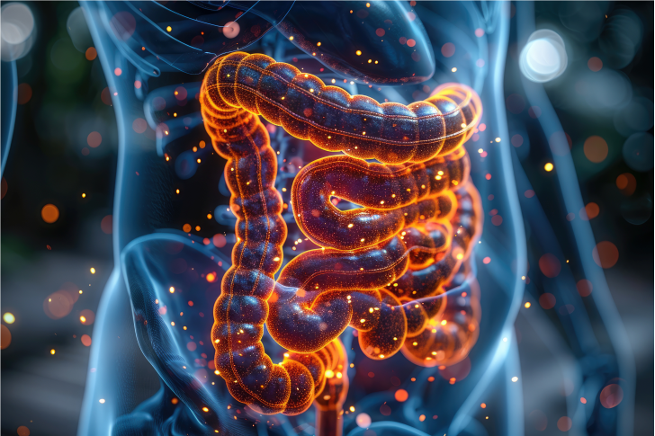 Disbiose Intestinal 