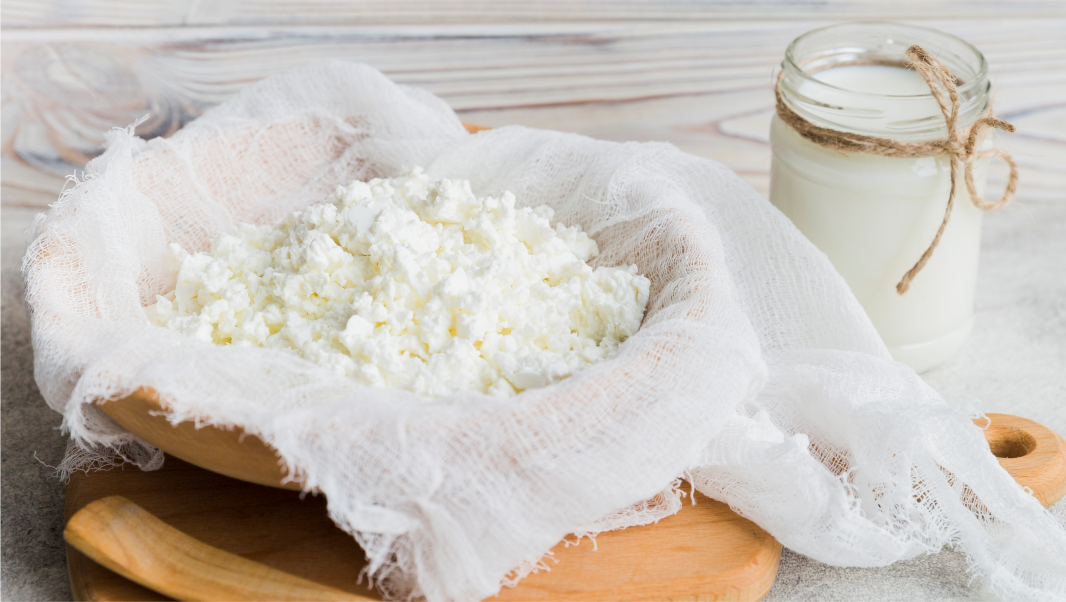 Alimentos Fermentados e a Saúde do Intestino