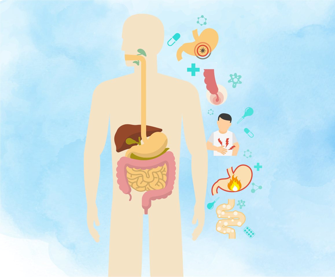 Quais Doenças o Gastro Trata?